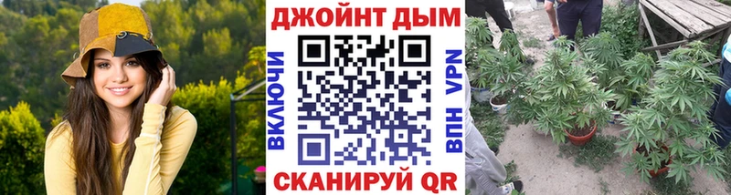 Все наркотики Шенкурск A-PVP  OMG как зайти  ГАШ  МЕФ  Каннабис  КОКАИН 