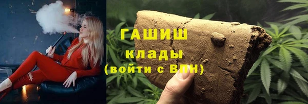 шишки Новокубанск