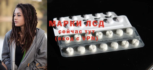 шишки Новокубанск
