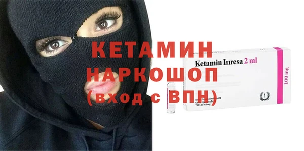 гидра Новодвинск