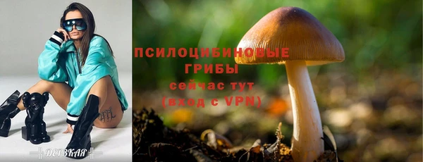 шишки Новокубанск