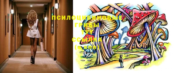 mdpv Новозыбков