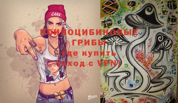 прущая мука Няндома
