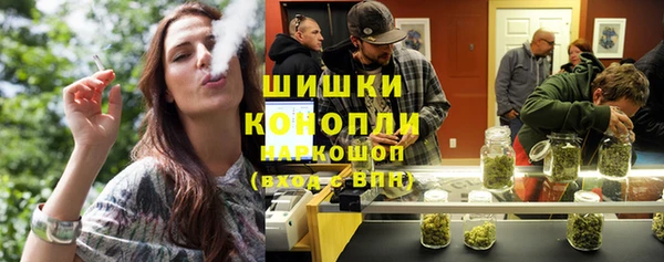 шишки Новокубанск