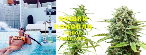 гидра Новодвинск