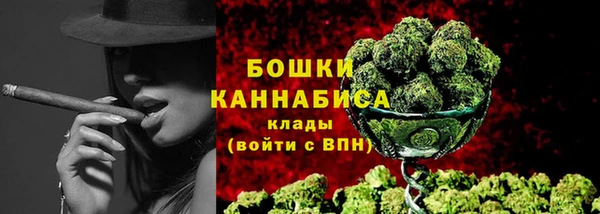 шишки Новокубанск
