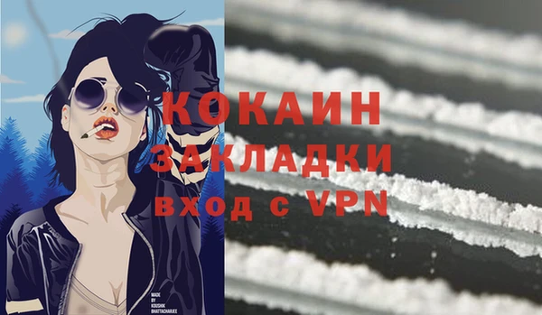 гидра Новодвинск