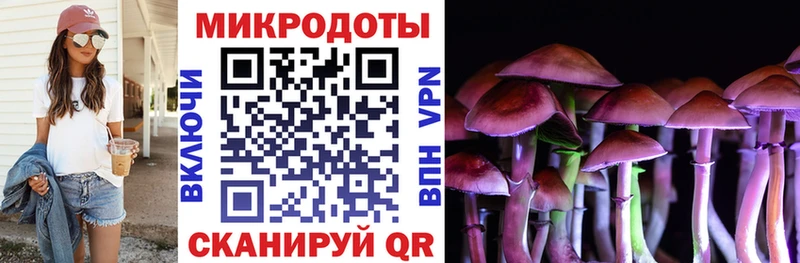 Галлюциногенные грибы ЛСД  купить наркотики цена  Шенкурск 