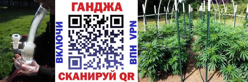 цены наркотик  Шенкурск  Шишки марихуана VHQ 